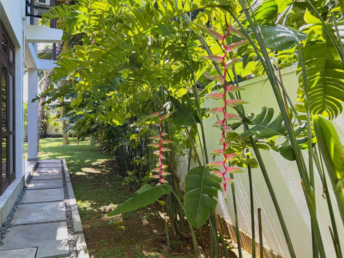 Villa Ema Galle Εξωτερικό φωτογραφία